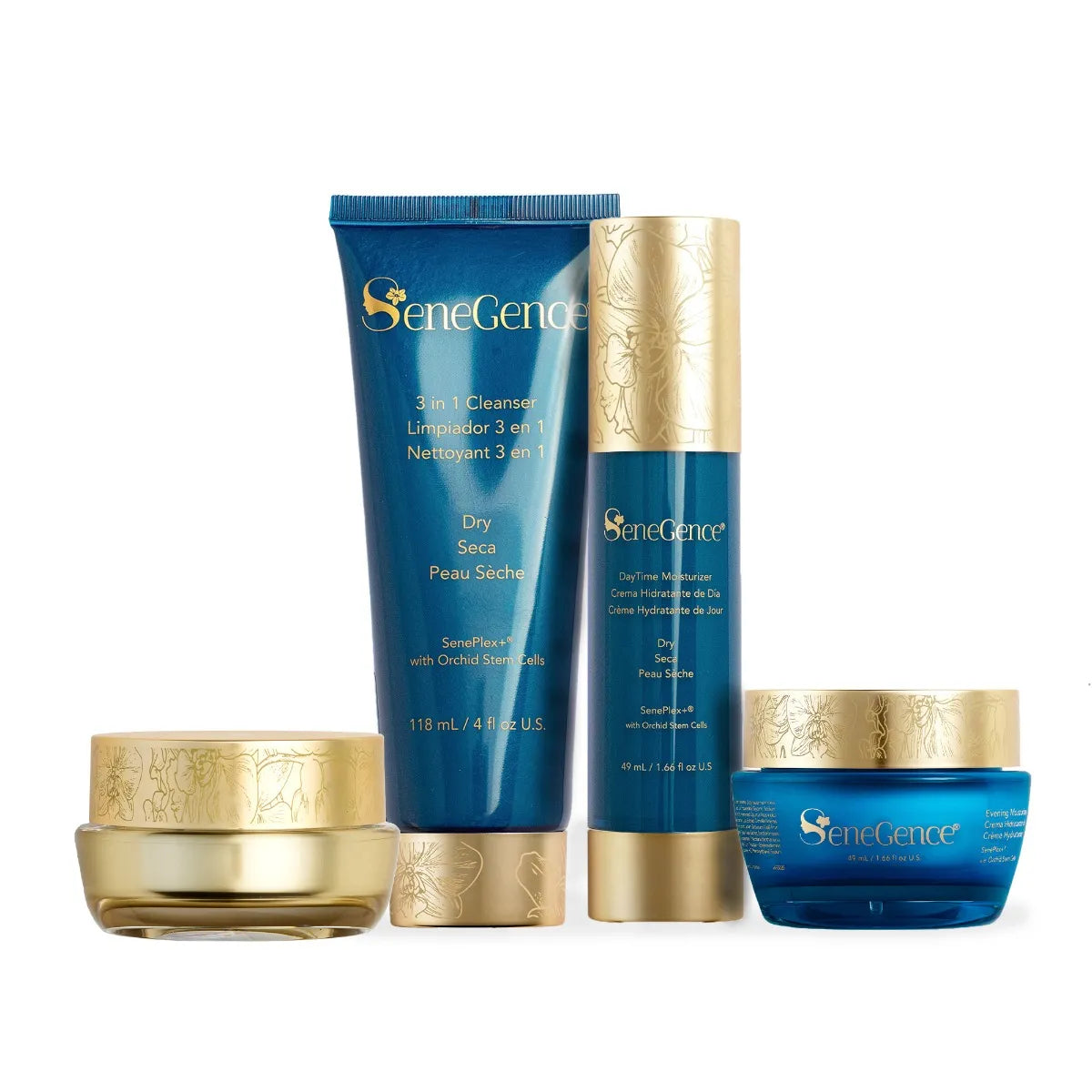 Dry SkinCare Regimen Set