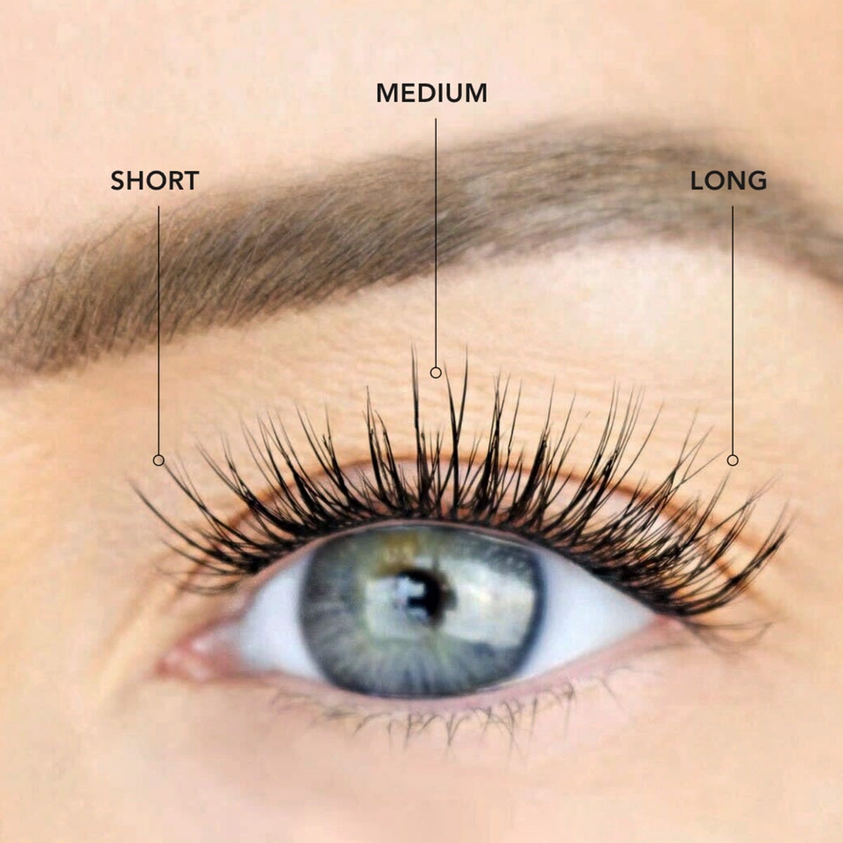 LashSense® Lashes Bloom Box-USA