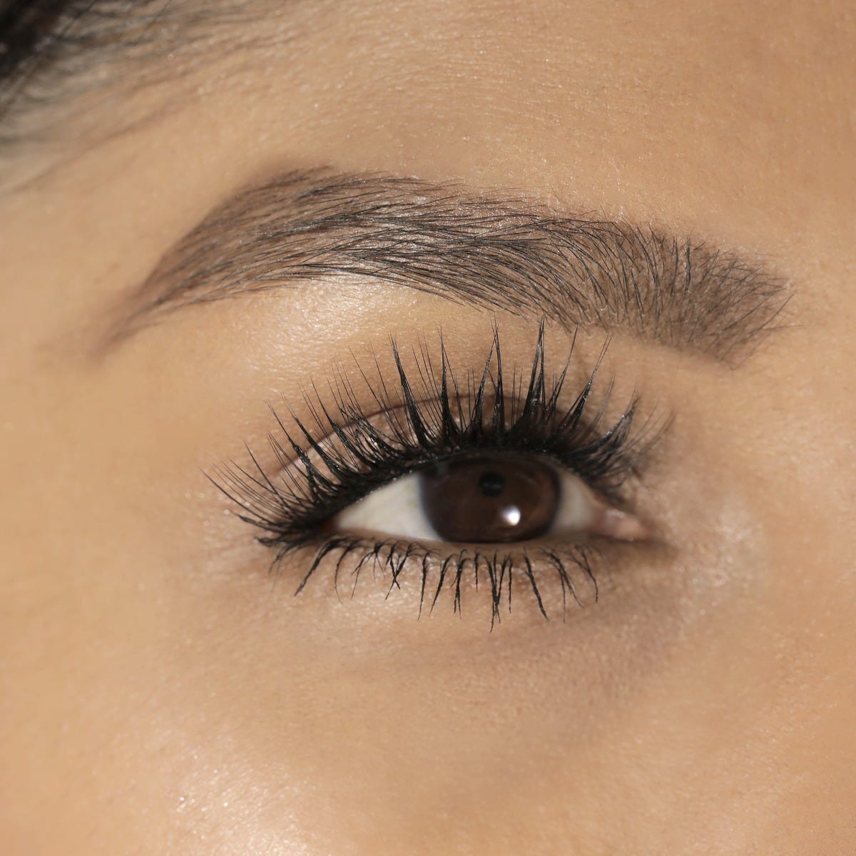 LashSense® Lashes Bloom Box-USA